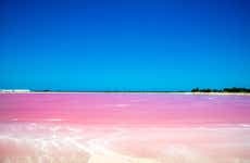 Excursão a Las Coloradas