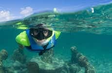 Snorkel no MUSA