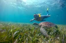 Snorkel noturno em Cancún