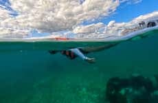 Snorkel em Puerto Morelos