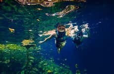 Excursão a Xenotes