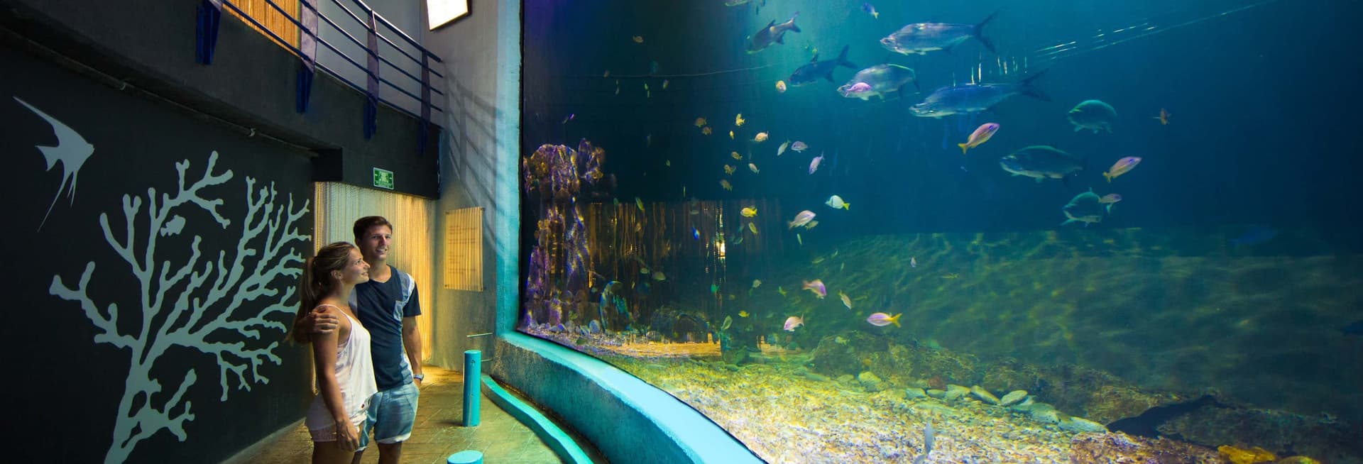 Interactive Aquarium Cancun Ticket
