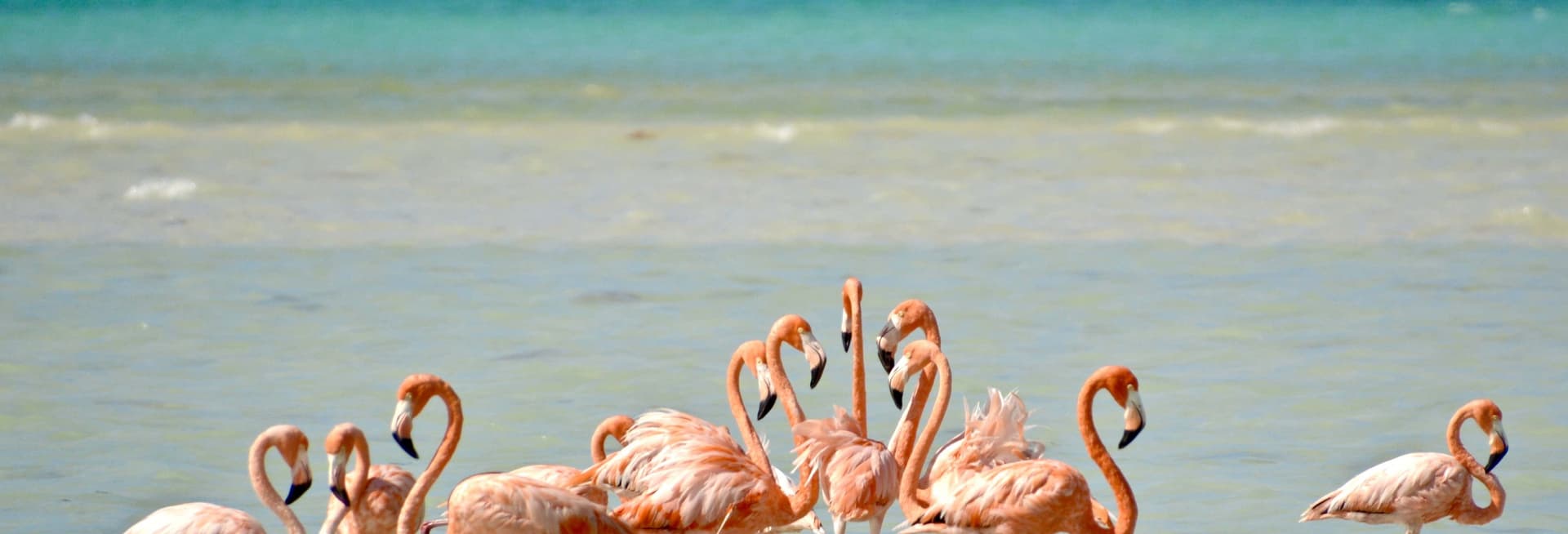 Isla Holbox Day Trip