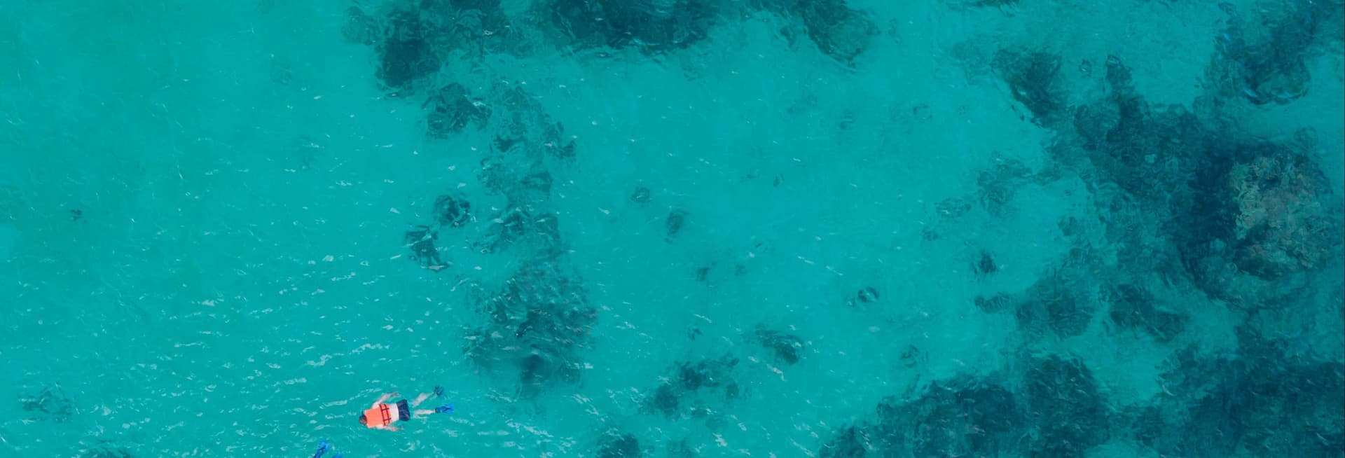 Snorkeling in Cancun