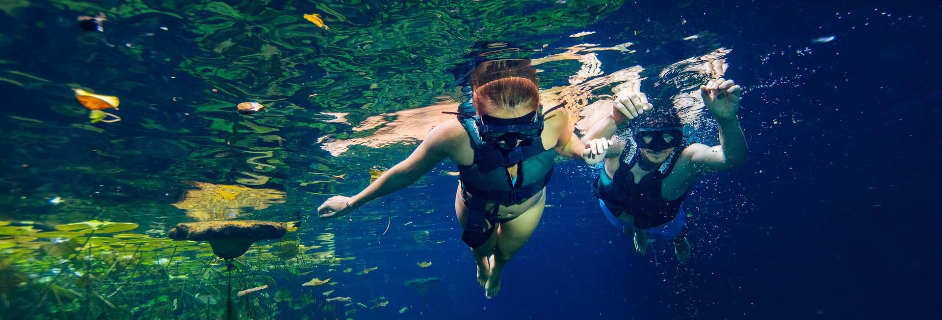 Xenotes Day Trip