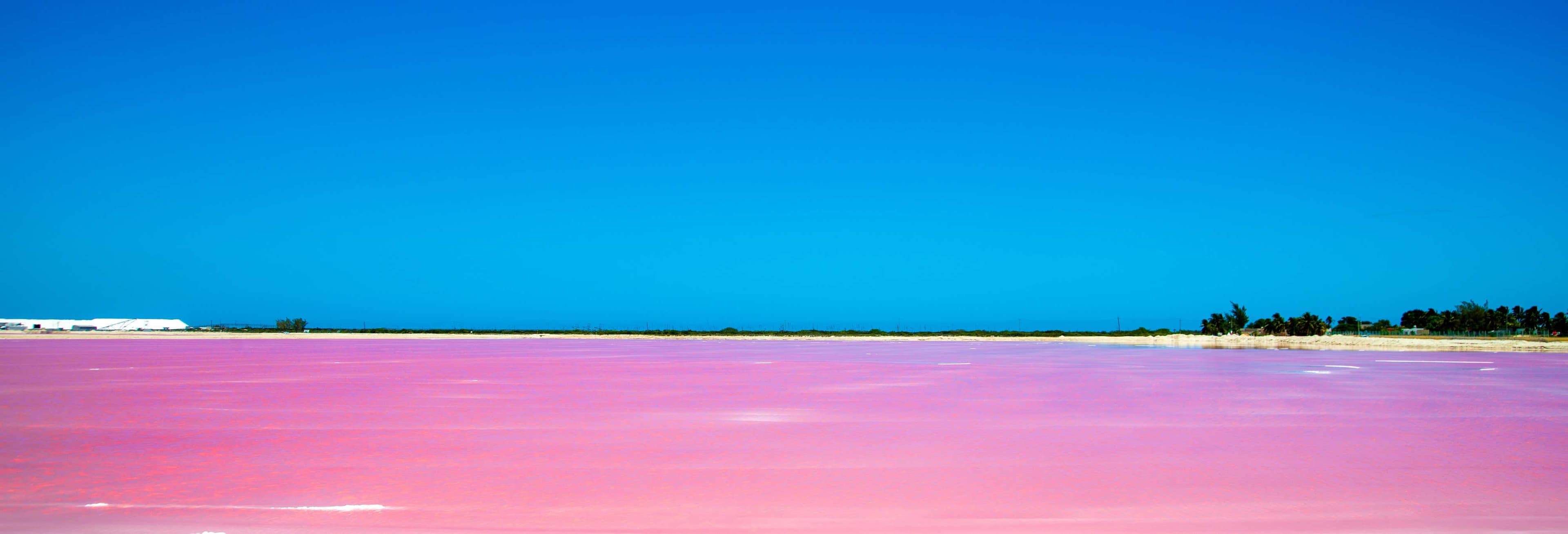 Excursão a Las Coloradas