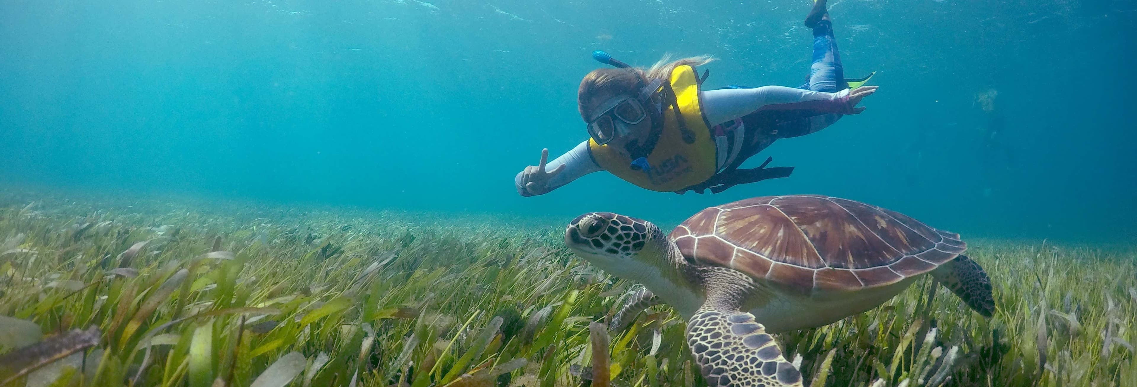 Snorkel noturno em Cancún