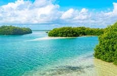 Sian Ka'an Tour & Muyil Boat Trip